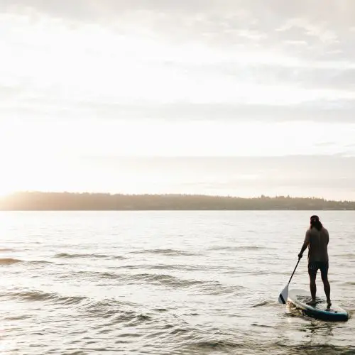 SUP Boards vs Paddle Boards: Which is Right for You?